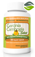 http://www.healthyminimag.com/garcinia-cambogia-select-reviews/