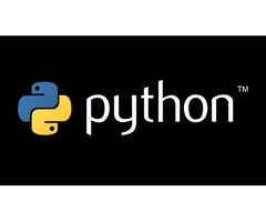 Python Development Services in India