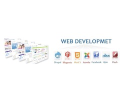 WEB DESIGN AND DEVELOPMENT SERVICES COMPANY.