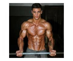 Muscle Body Stimulates The Testosterone Count